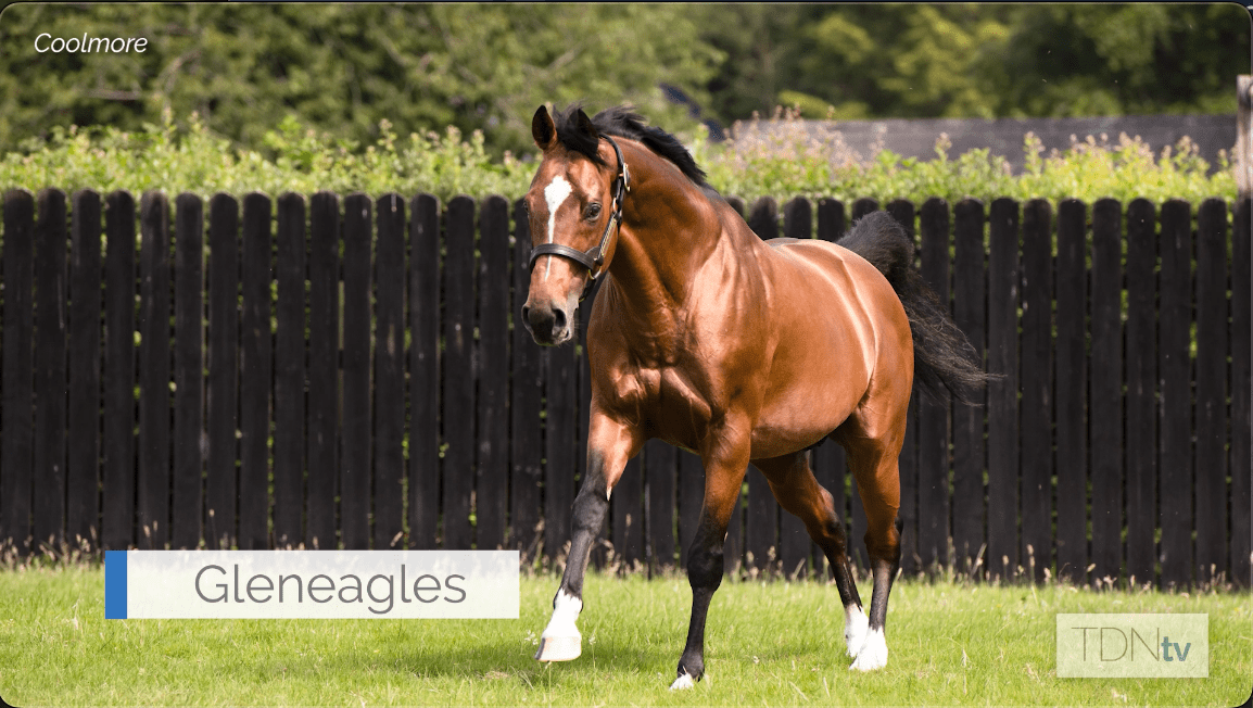 From Derbys to July Cups Versatile Gleneagles Reigns
